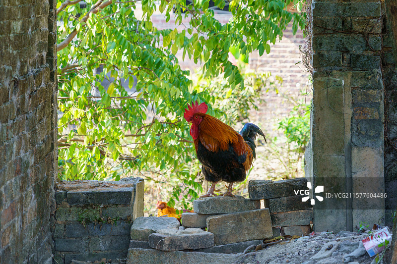 广东清远佛冈县龙山镇上岳古村图片素材