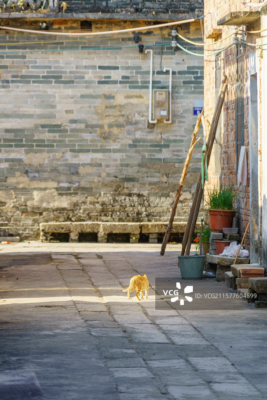 广东清远佛冈县龙山镇上岳古村图片素材