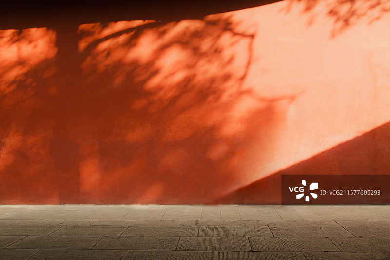 傍晚夕阳和斑驳树影斜射在寺庙的红墙上图片素材