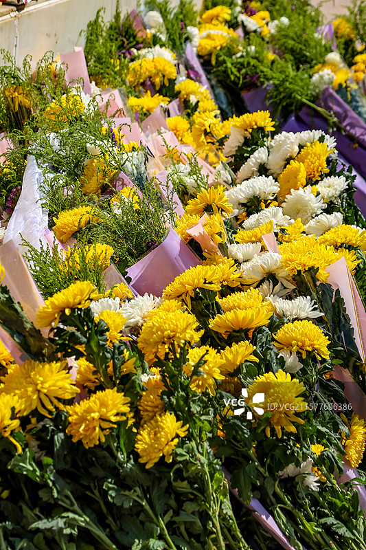 乔尔玛英雄纪念碑图片素材