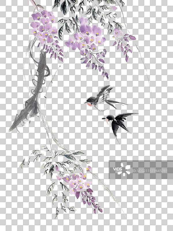 国画 元素 春天 紫藤 燕子 紫藤花 立春图片素材