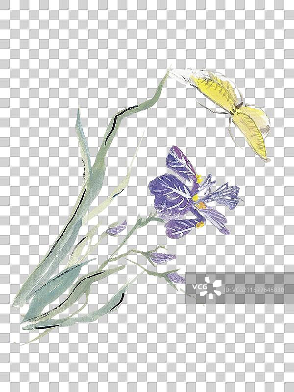 国画 元素 蝴蝶 花 兰花 蝴蝶兰图片素材