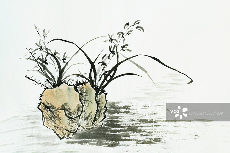 手绘 国画 兰花 春兰 幽兰 美人 空谷幽兰图片素材