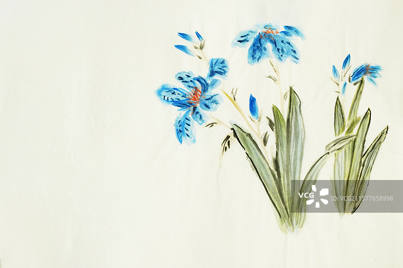 手绘 国画 蝴蝶兰 兰花 蝴蝶 花图片素材