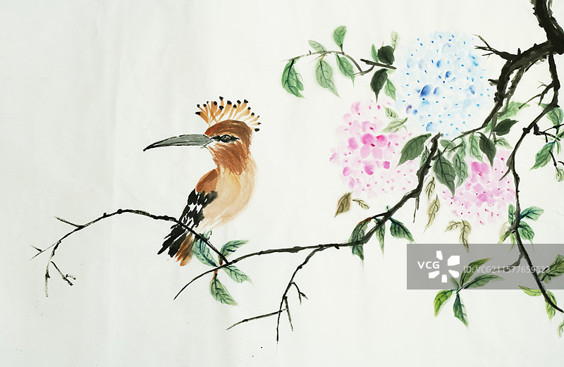 手绘 国画 戴胜鸟 绣球 花图片素材