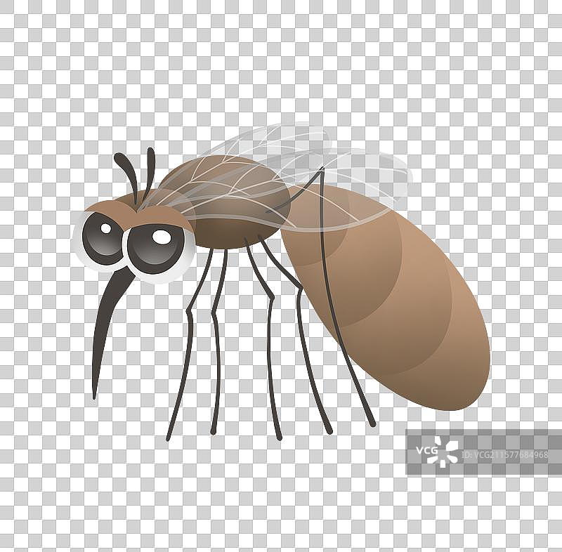 手绘卡通蚊子插画元素图片素材