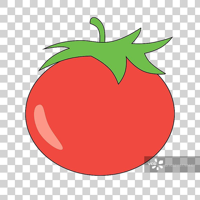 西红柿图片素材