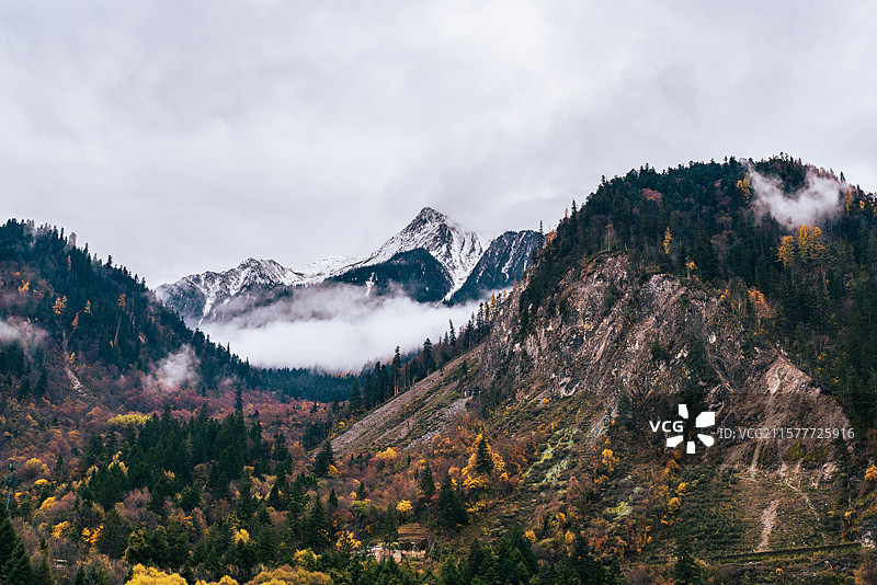 四川省阿坝州九寨沟风景区-金铃海彩林图片素材