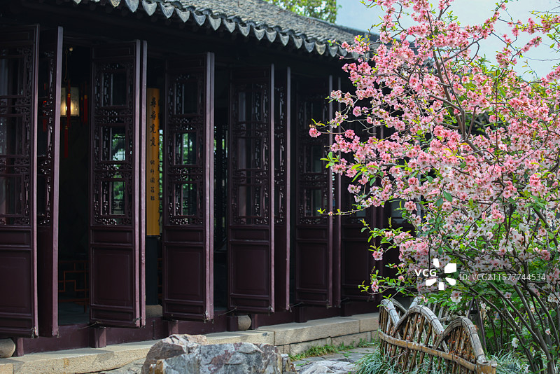 苏州园林之网师园园林建筑假山亭台楼榭花朵风光图片素材