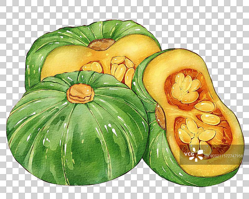 南瓜插画图片素材