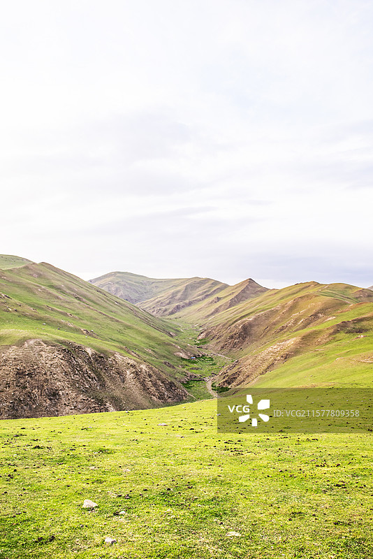 甘肃省陇南市礼县上坪乡大河边草原 甘肃高山草原 草原 礼县的草原图片素材
