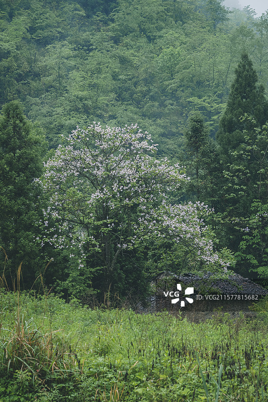 恩施鹿院坪景区风光图片素材