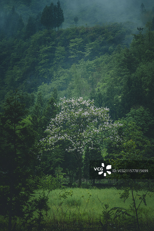 恩施鹿院坪景区风光图片素材