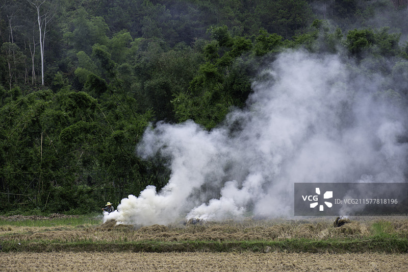 田间焚烧秸秆冒烟图片素材