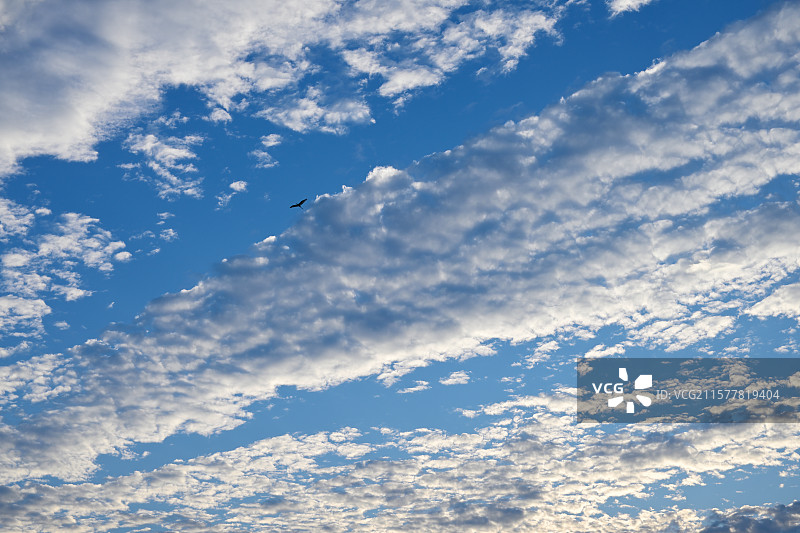 蓝天，云景，上海之鱼的天空，金海湖，上海奉贤图片素材