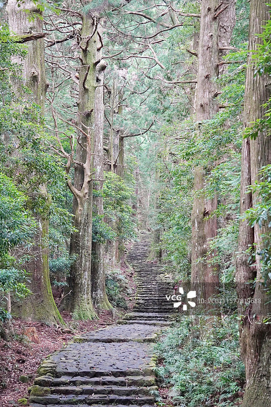 熊野古道图片素材
