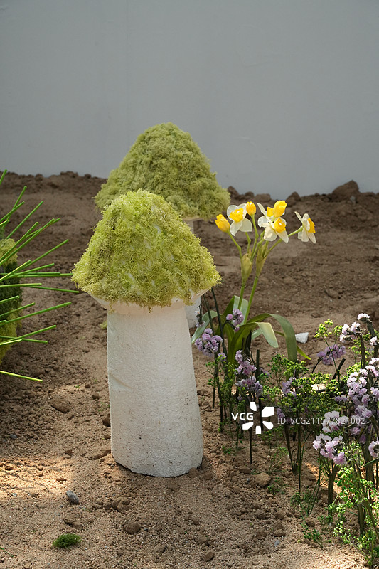 潍坊寿光蔬菜博览会的巨大蘑菇小景图片素材