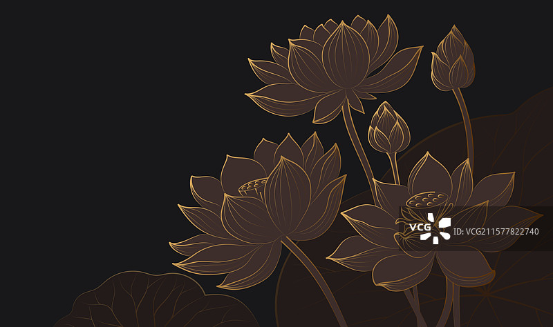 深棕色背景上的金色线性莲花插图图片素材