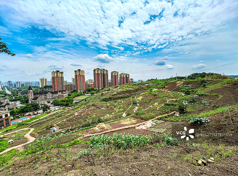 《城市边缘的农耕坡地 都市与田园的交融景观》图片素材