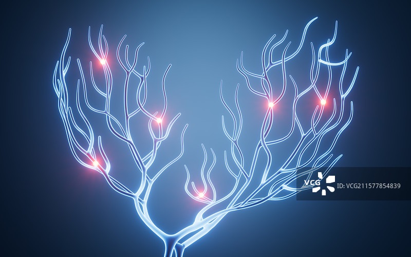 分叉的神经网络三维渲染图片素材