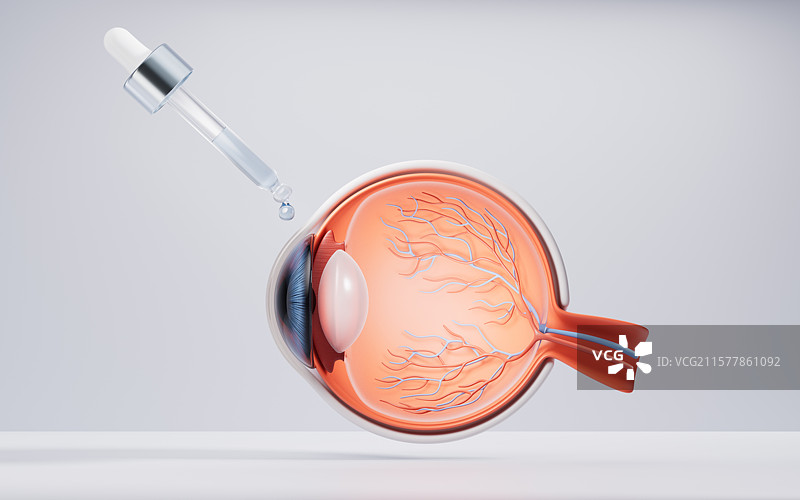 医学人类眼球结构三维渲染图片素材