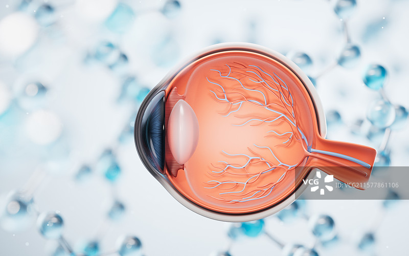 医学人类眼球结构三维渲染图片素材