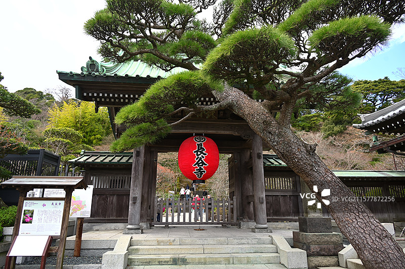 日本镰仓长谷寺的春天图片素材