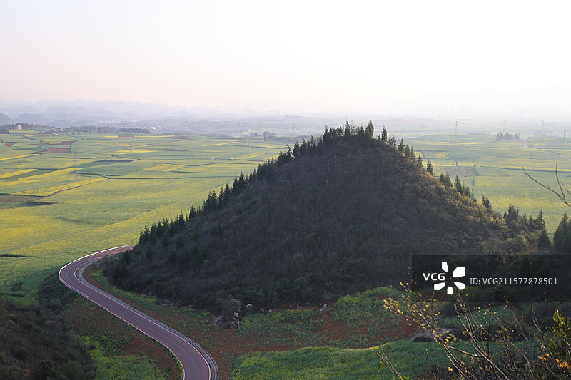 罗平，油菜花，红土地，喀斯特地貌，馒头上，红山，图片素材