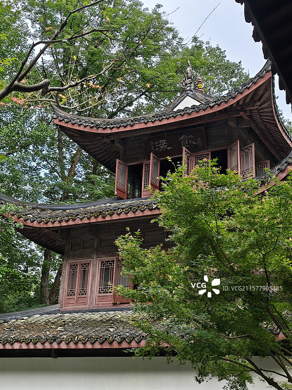 杭州虎跑公园夏季清凉好去处。有水杉森林、天下第三泉虎跑泉、弘一法师、罗汉堂、钟楼等。图片素材