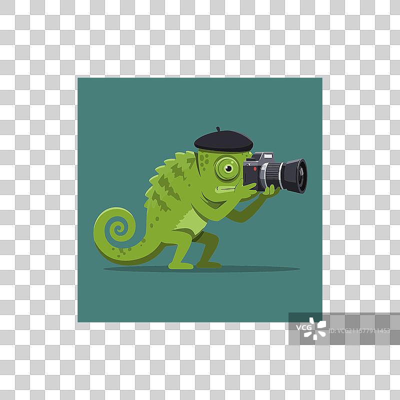 穿着贝雷帽的变色龙用相机拍照图片素材