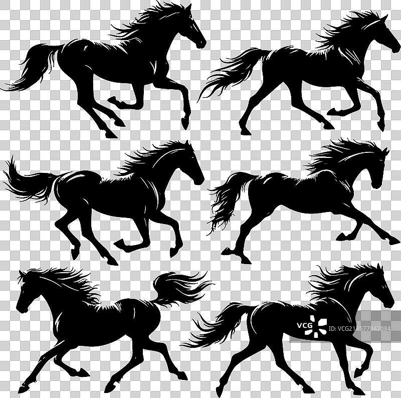 马的剪影图片素材