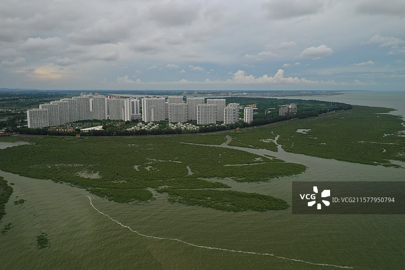航拍广西百色市金海湾红树林生态旅游区图片素材
