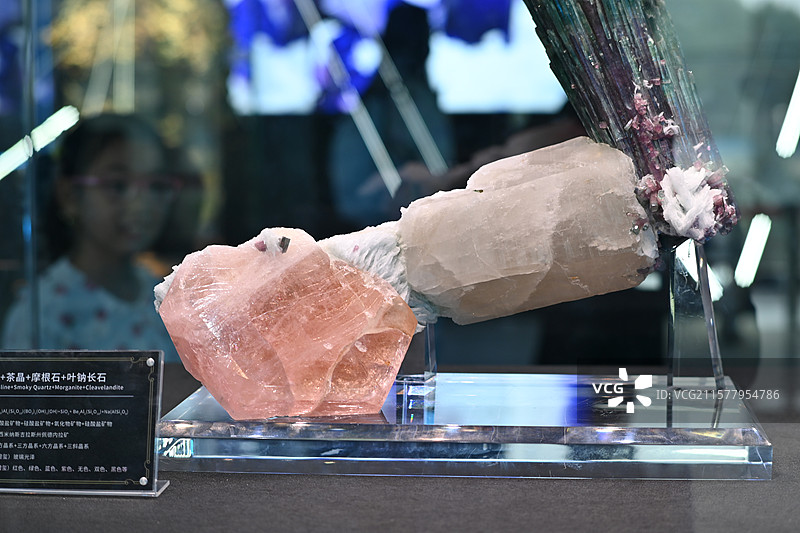 2024年南京国际展览中心矿博会图片素材