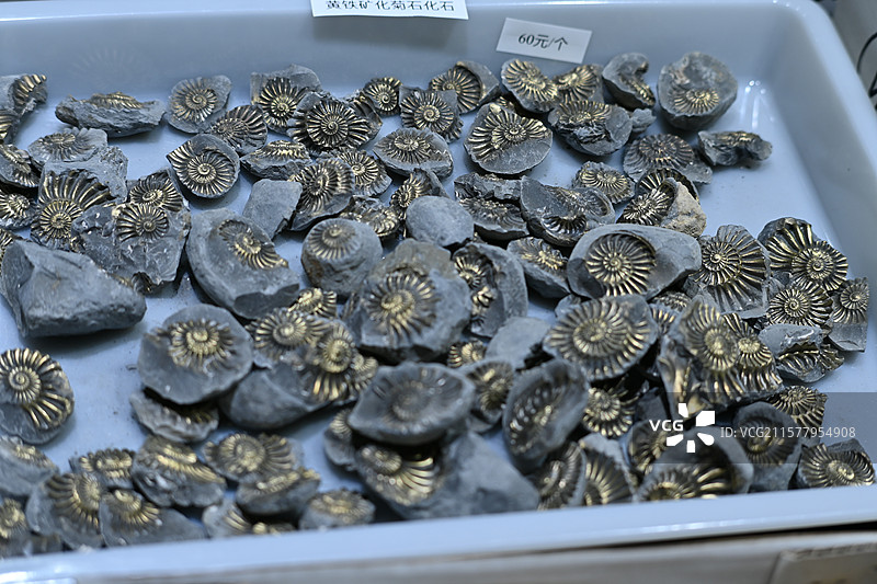 2024年南京国际展览中心矿博会图片素材