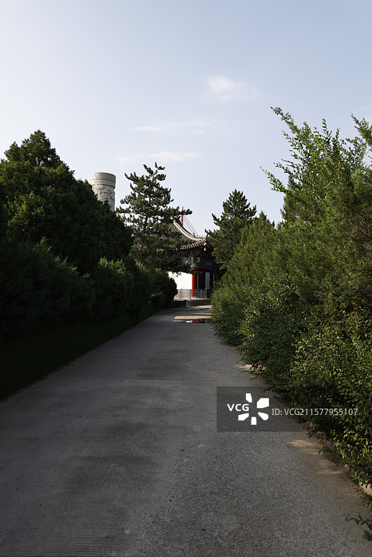 陕西省榆林市府谷县神龙山森林公园摄影图片图片素材