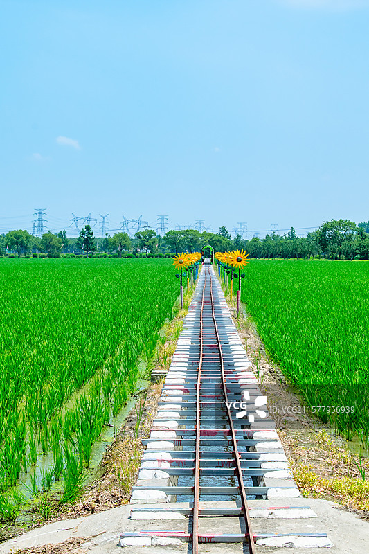 嘉北郊野公园图片素材