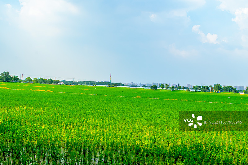 嘉北郊野公园图片素材