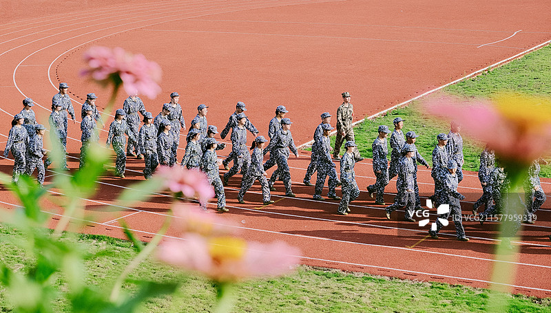 花一样的年纪图片素材