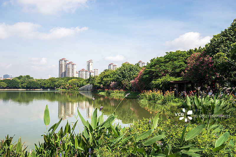 六月流火的泉州西湖风光图片素材