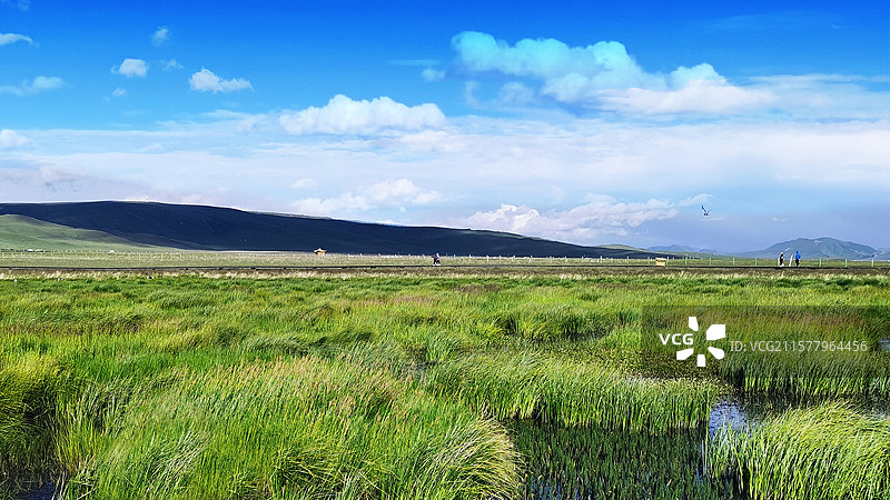 甘南尕海图片素材