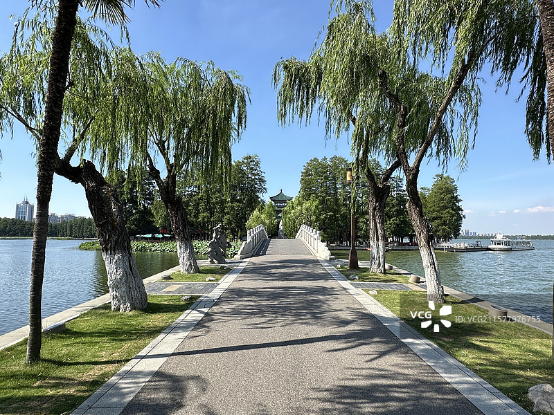 武汉东湖绿道 柳树 长堤图片素材