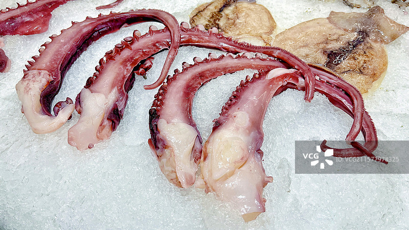 新鲜章鱼腿图片素材