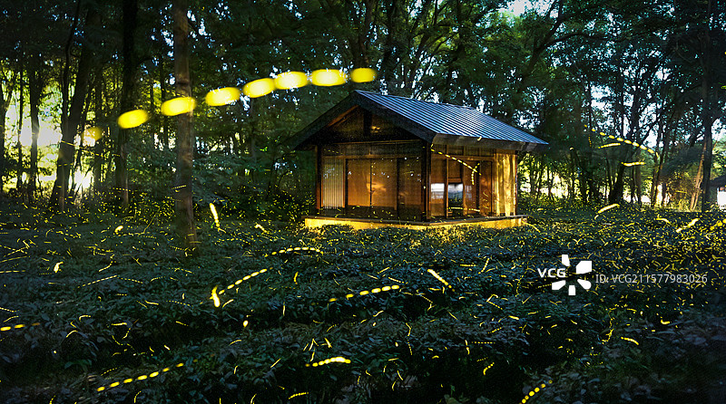 萤火之森图片素材