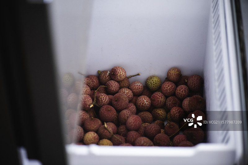 冰箱里的冷藏荔枝图片素材