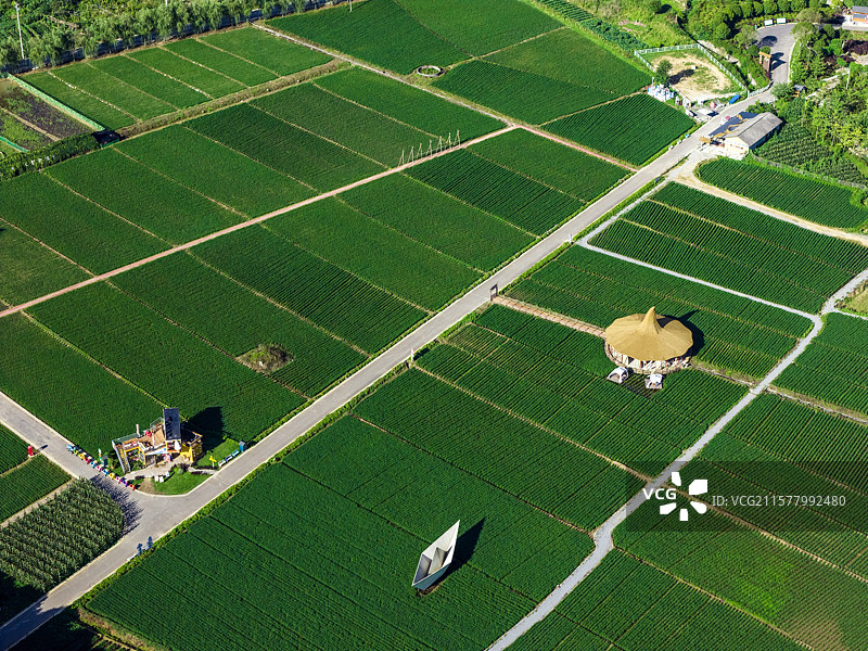 湖北乡村旅游网红点恩施白果乡塘里堂外田园风光图片素材