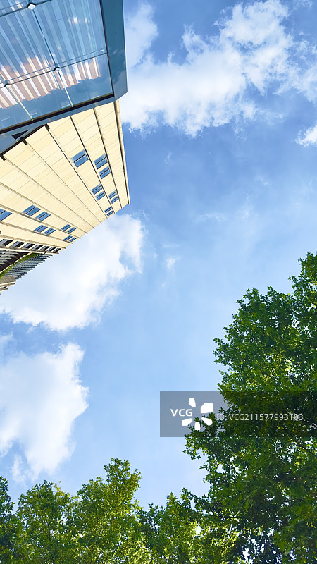仰视视角下的绿树与现代建筑图片素材