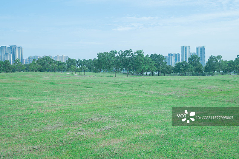 武汉黄家湖湿地公园夏季绿色静谧风光图片素材