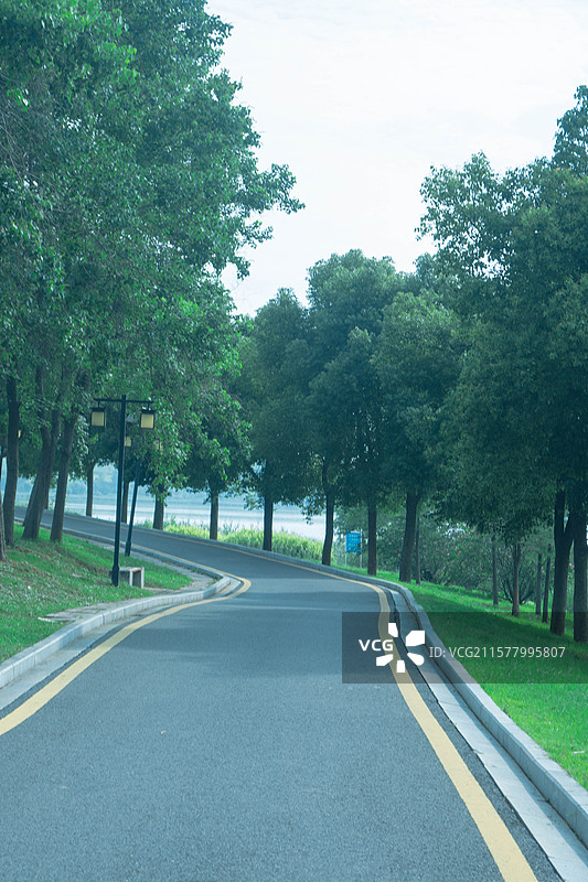武汉黄家湖湿地公园夏季绿色静谧风光图片素材