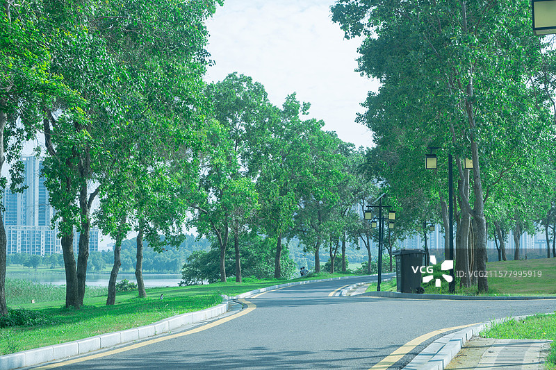 武汉黄家湖湿地公园夏季绿色静谧风光图片素材