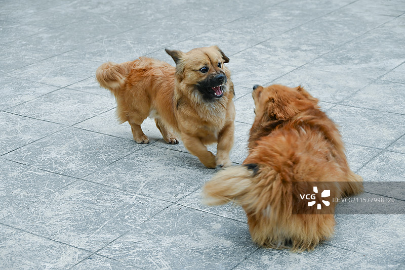 安徽宏村 水墨画卷里的千年古村图片素材